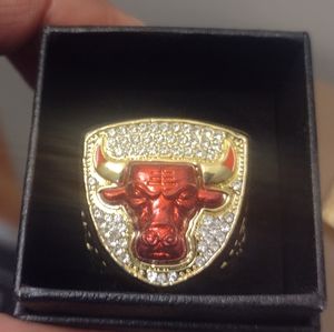 MICHAEL JORDAN BULLS 1993 NBA MVP CHAMPIONSHIP SIZE 11 RING w/GOLD COIN &2 CARDS